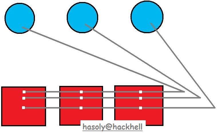 hasoly.jpg