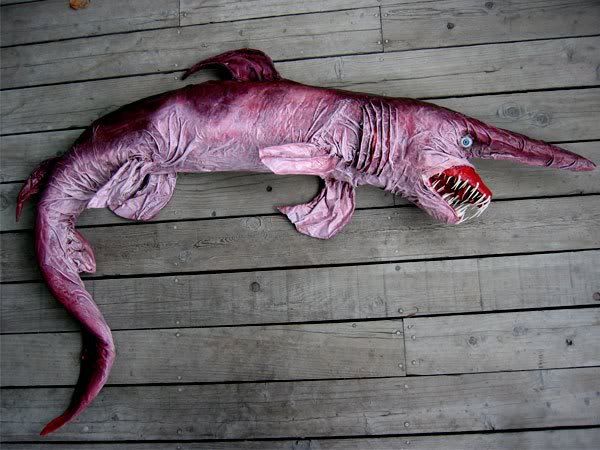 adelle caunce,goblin,shark