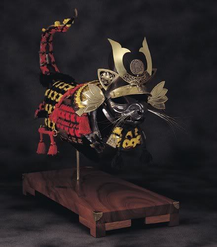 Samurai Cat