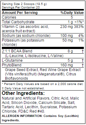 Optimum Nutrition Pro BCAA Supplement Facts