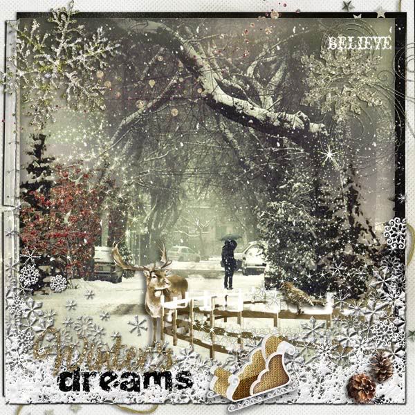 Winter Dreams Pictures, Images and Photos