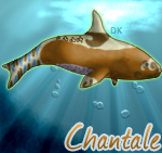 Whale_Chantalecopy.png