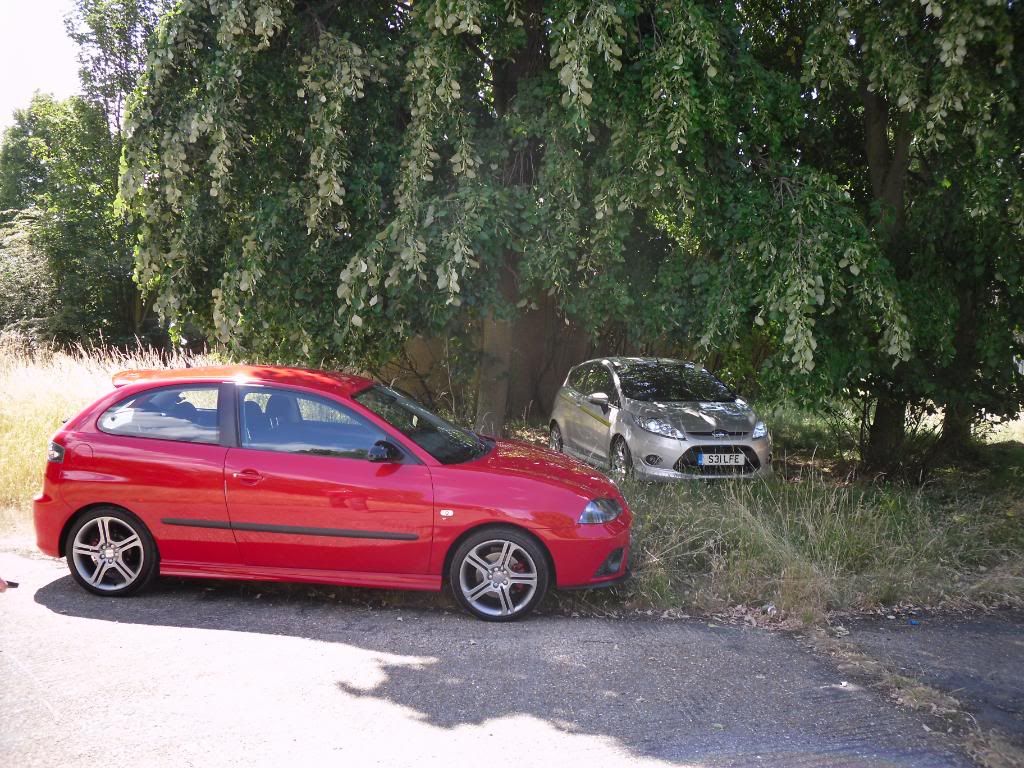 SDC11586.jpg