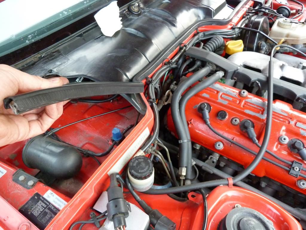 P1050845_zpsebfdc86a.jpg