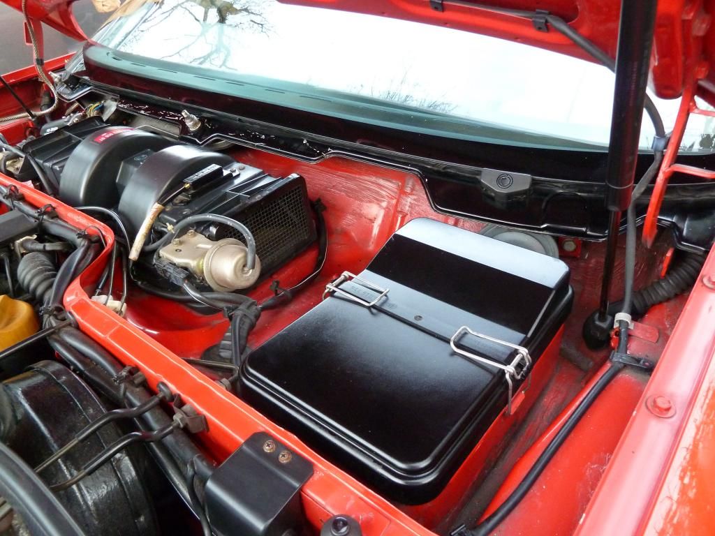 P1050865_zps929c74c6.jpg