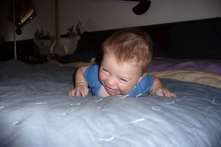 face plant