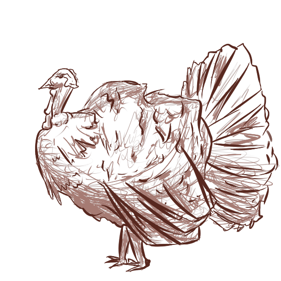 How%20to%20draw%20a%20turkey_zpspnclkfyx.png