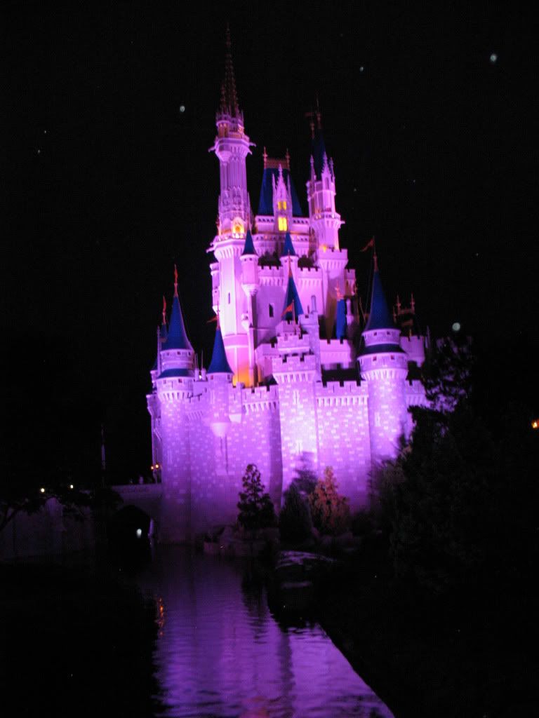 Disneyworld2009178.jpg