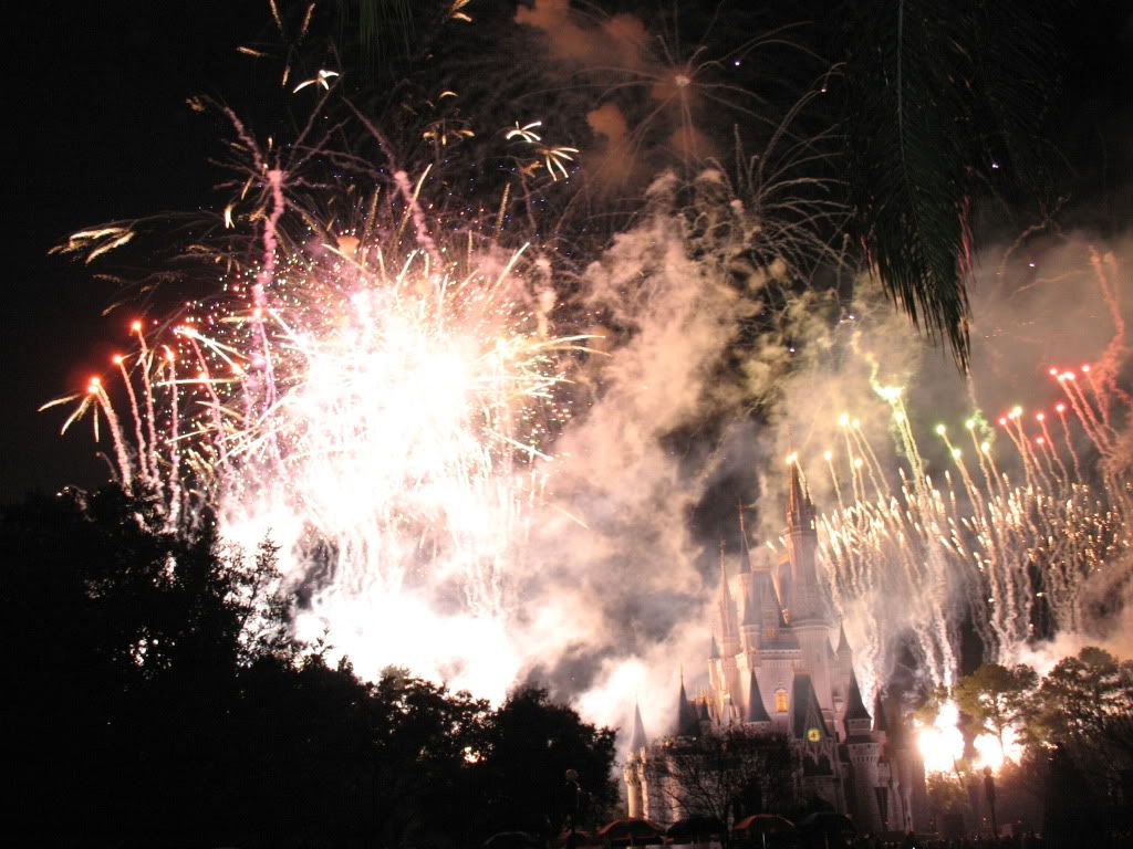 Disneyworld20091838.jpg