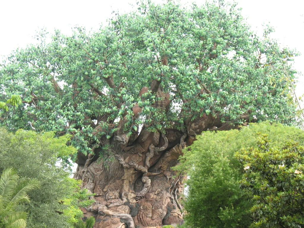 Disneyworld2009378.jpg