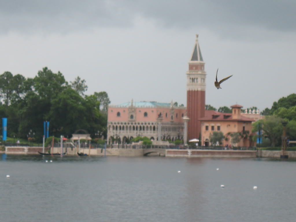 Disneyworld2009814.jpg