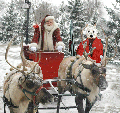 santa and reindeer photo: Jamie and Santa santa_jamie-1.gif