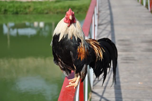 268.jpg