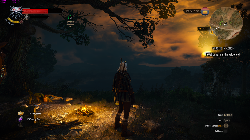 witcher3_2015_05_19_21_06_38_769.png