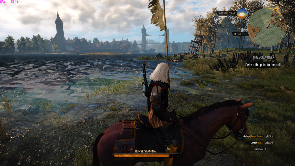 witcher3_2015_05_25_11_49_23_301.png