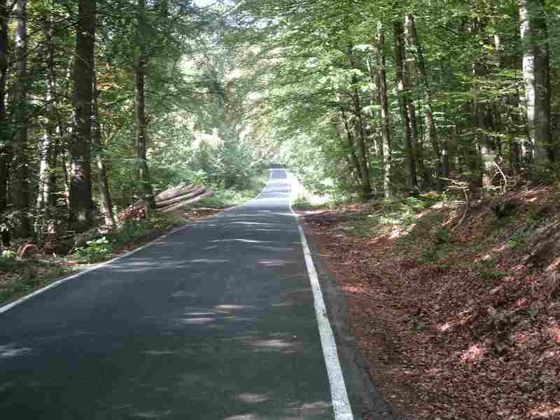  photo -IMG_0972_zpshxze9sbk.jpg