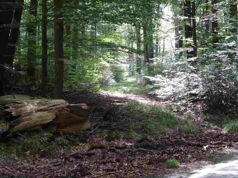  photo -IMG_0973_zpsfrssgyjx.jpg