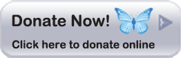 Donate securely online