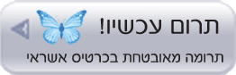 תרומה מאובטחת בכרטיס אשראי