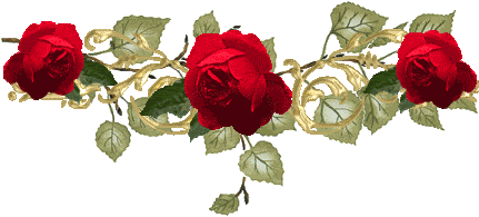 ROSE DIVIDER Pictures, Images and Photos