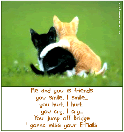 best friendship quotes funny. funny best friend quotes