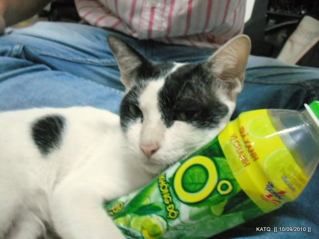 Tư Vấn giải tỏa Stress - Lắng nghe cùng trò chuyện - Hãy nói lên tâm sự của bạn