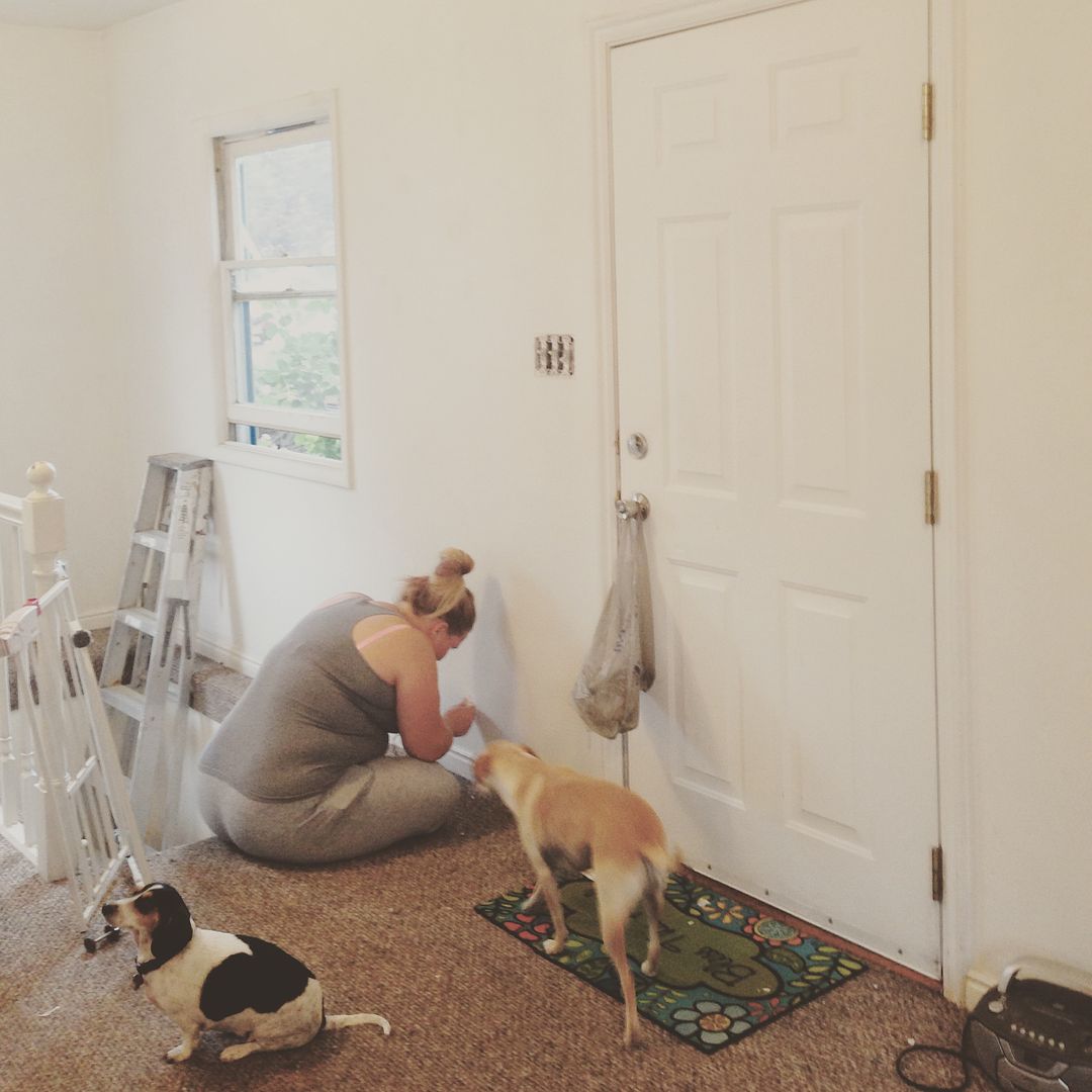 Shayla sanding down spackle while the dogs keep her company.