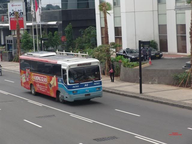 DSC00511.jpg