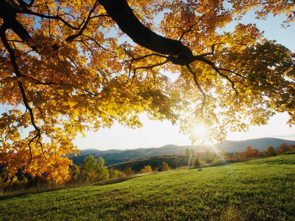 summer day photo: Summer77 AutumnLeaves.jpg