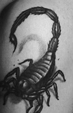 Extreme Scorpion Tattoos Piercing Design