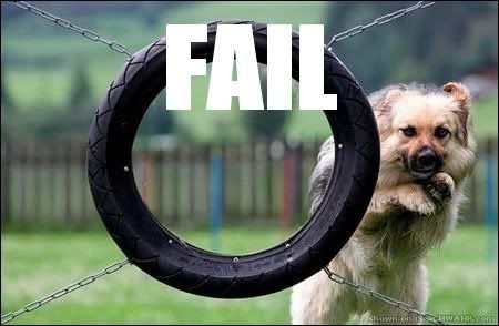 dog_fail-12828.jpg