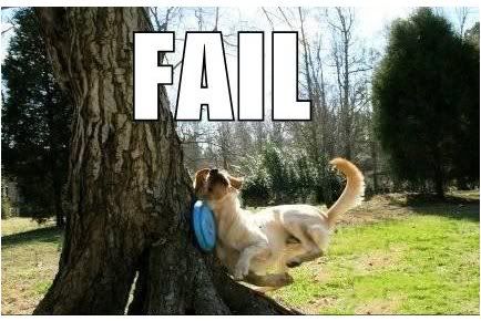 dog_fail-12849.jpg