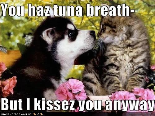 cute-puppy-pictures-tuna-breath.jpg