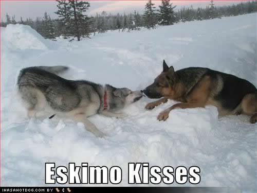 kisses.jpg