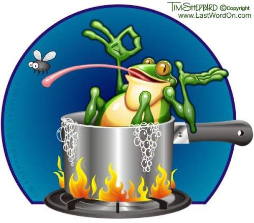 etc-frog-boiling.jpg