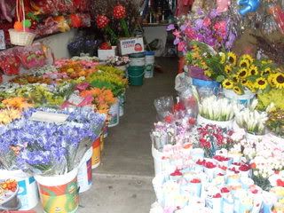 another variety of fresh flowers