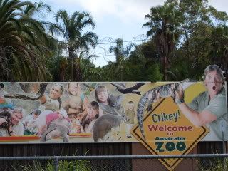Australia Zoo - on way to Sunshine Coast