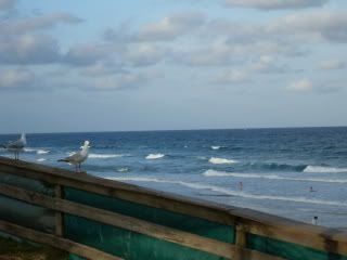 Coolum Beach Front