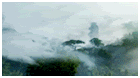 gfhnfjnhgjm.gif picture by Mightess_07 gfhnfjnhgjm.gif picture by Mightess_07