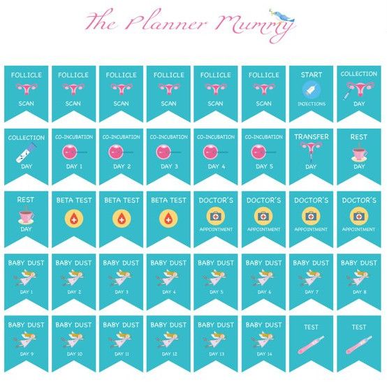 IVF Reminder Planner Stickers to track fertility in your planner.