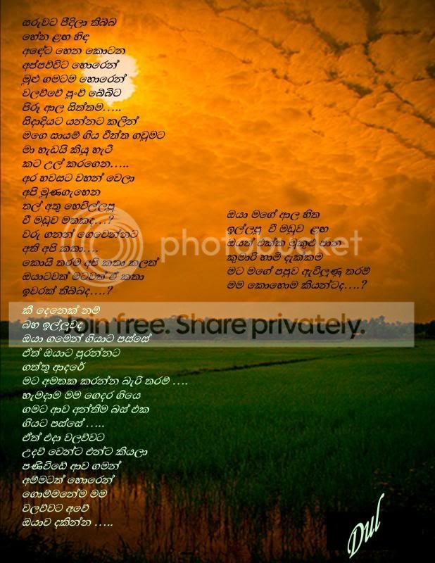 goyam-1.jpg