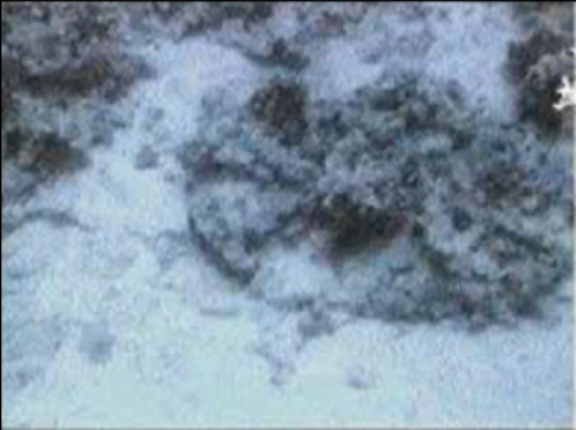 photo 476467f3-1553-409a-9478-4388112f9652_zpsjecblzm8.png